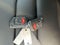 2026 Jeep Gladiator GLADIATOR SHADOW OPS 4X4