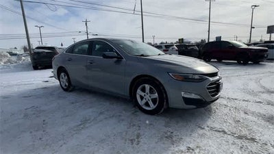 2023 Chevrolet Malibu FWD 1LT
