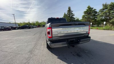 2021 Ford F-150 Platinum