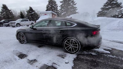 2019 Audi S5 Sportback Premium Plus quattro