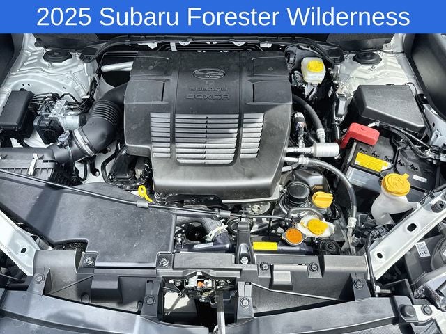 2025 Subaru Forester Wilderness