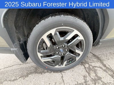 2025 Subaru Forester Hybrid Limited